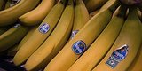 Next Chapter In The Global Banana Trade's Bloody History: 'Walmartization' Next Chapter In The Global Banana Trade's Bloody History: 'Walmartization'