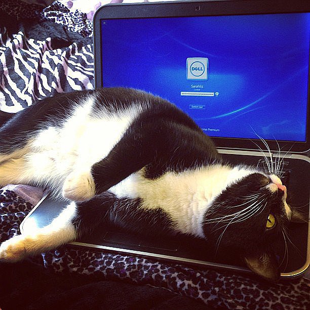 It's about that time — a few tips for cleaning your laptop.
Source: Instagram user sarahliz266
It's about that time — a few tips for cleaning your laptop.
Source: Instagram user sarahliz266