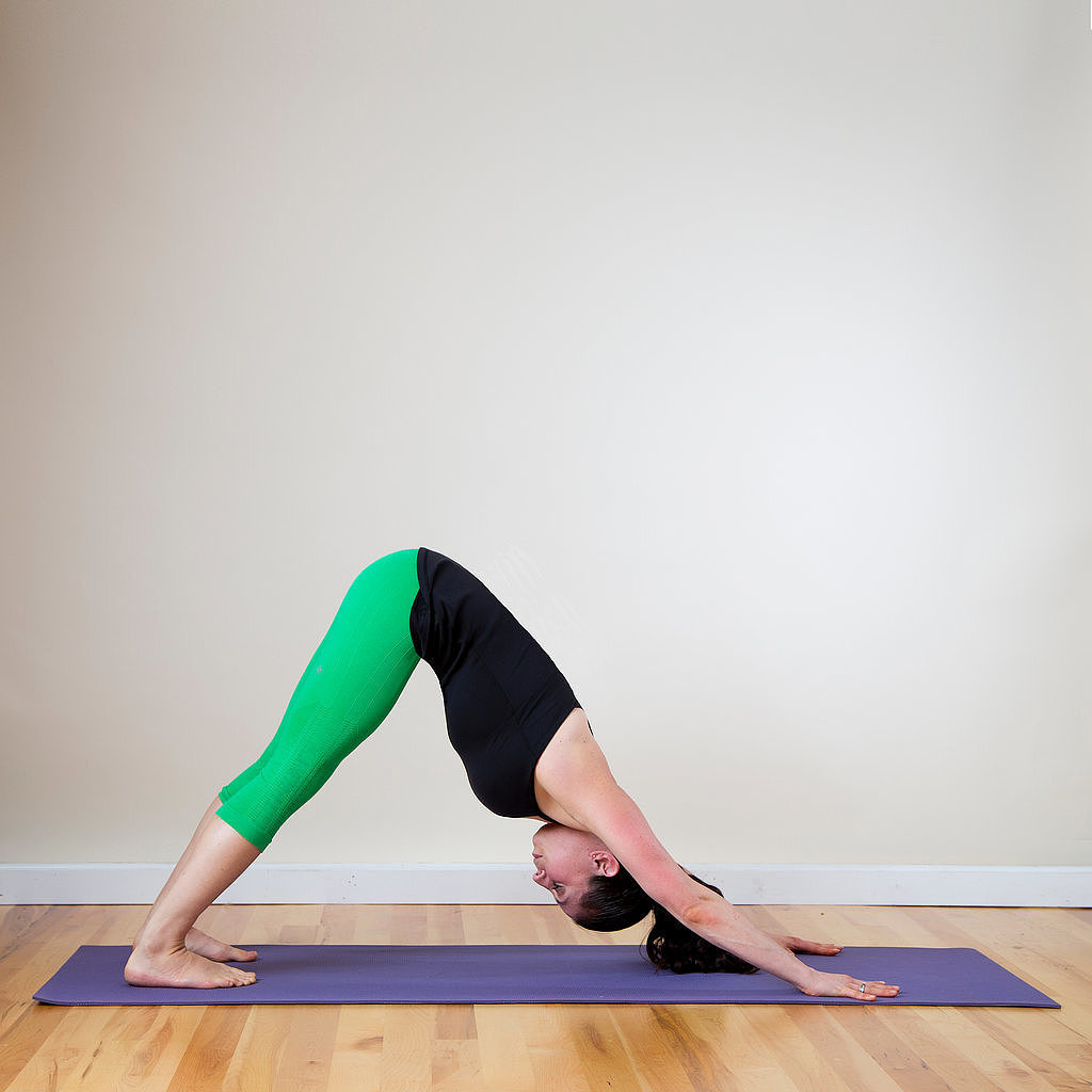 Downward Facing Dog Downward Facing Dog