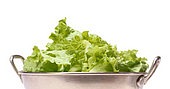 Don't Toss Your Sad Lettuce - Fix It! Don't Toss Your Sad Lettuce - Fix It!
