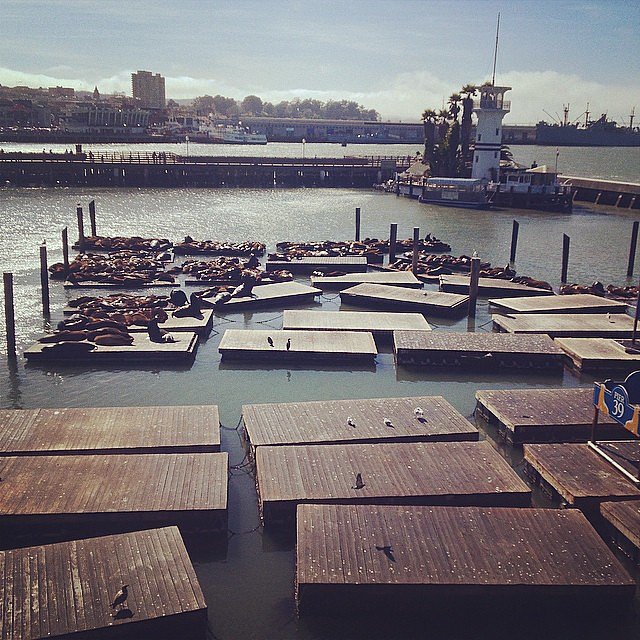 Visit Pier 39 Visit Pier 39