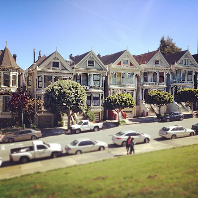 Visit the Painted Ladies Visit the Painted Ladies
