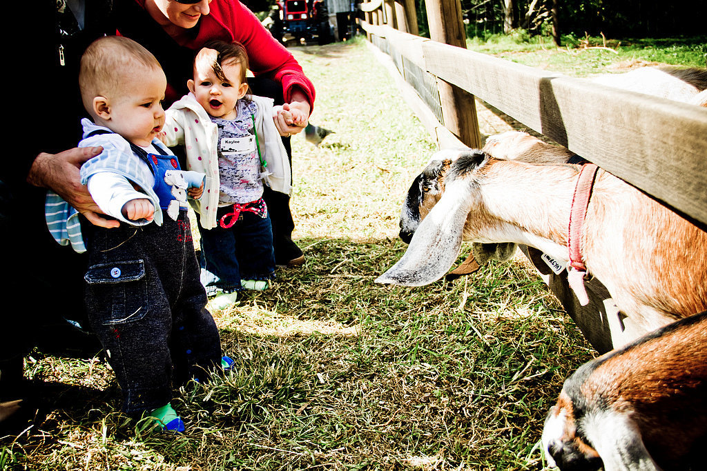 Visit the Farm Visit the Farm