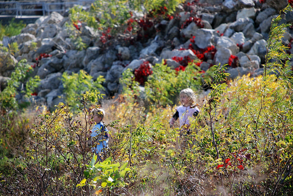 Go For a Nature Walk Go For a Nature Walk