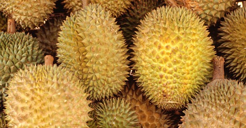 Should Durian Be Destinked? Should Durian Be Destinked?