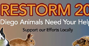 To the Rescue: Donating to Charity To the Rescue: Donating to Charity
