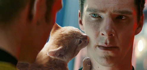 Here Is Benedict Cumberbatch Photoshopped With Cats Here Is Benedict Cumberbatch Photoshopped With Cats