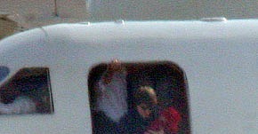Surprise Suri Sighting Surprise Suri Sighting