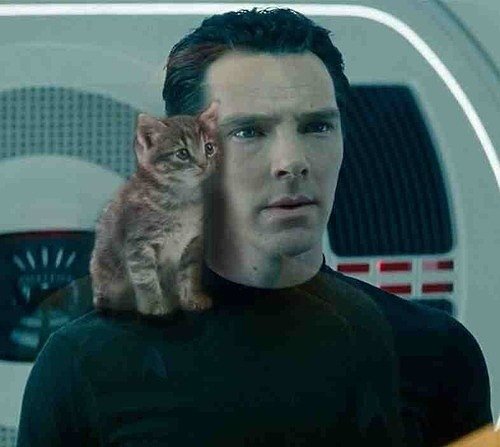 "Because that’s what Photoshop was made for." There's more where that came from.
Source: Imgur user OwlForTheNight
"Because that’s what Photoshop was made for." There's more where that came from.
Source: Imgur user OwlForTheNight