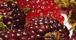 Eat Your Antioxidants Eat Your Antioxidants