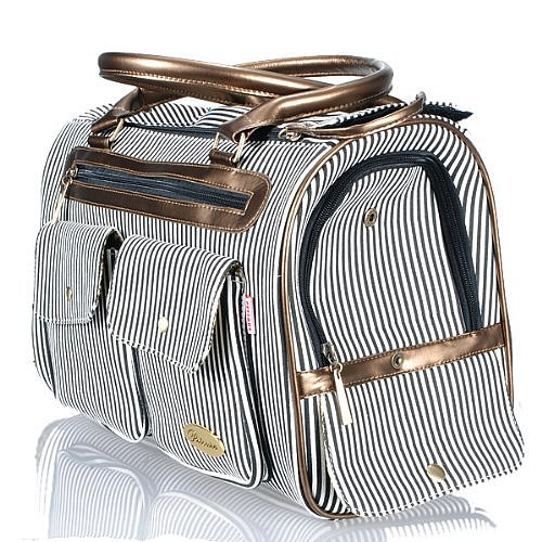 Dog Etiquette POPSUGAR Pets