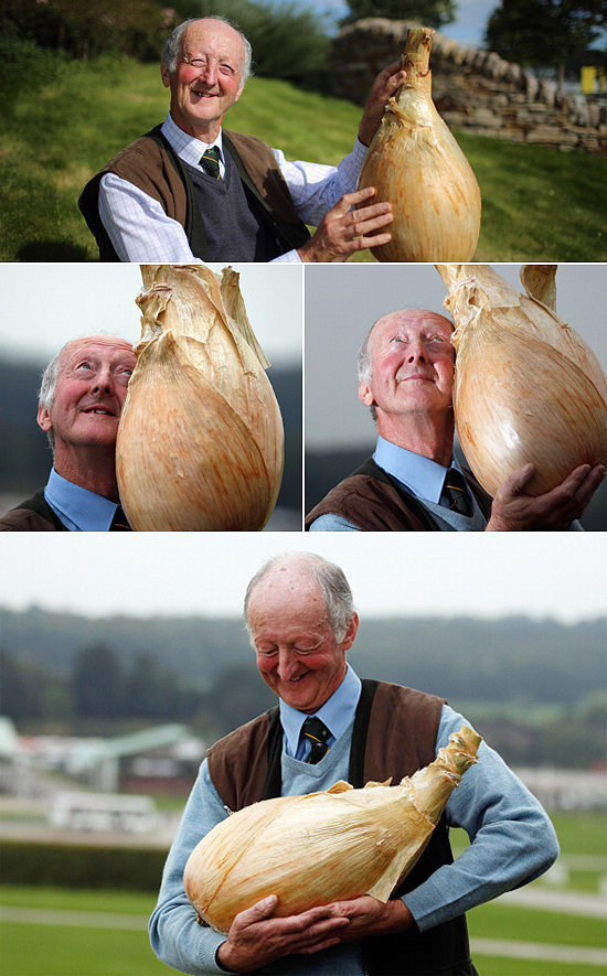 The Man Who Is So Happy With His Onion The Man Who Is So Happy With His Onion