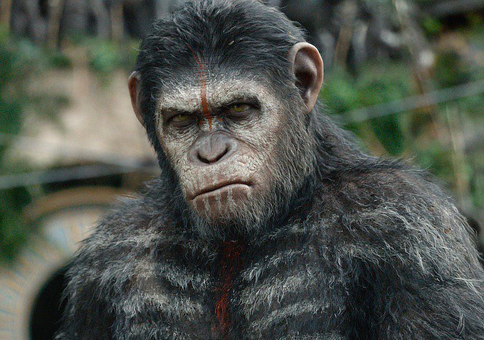 So This Is What Happens 10 Years After Rise of the Planet of the Apes So This Is What Happens 10 Years After Rise of the Planet of the Apes