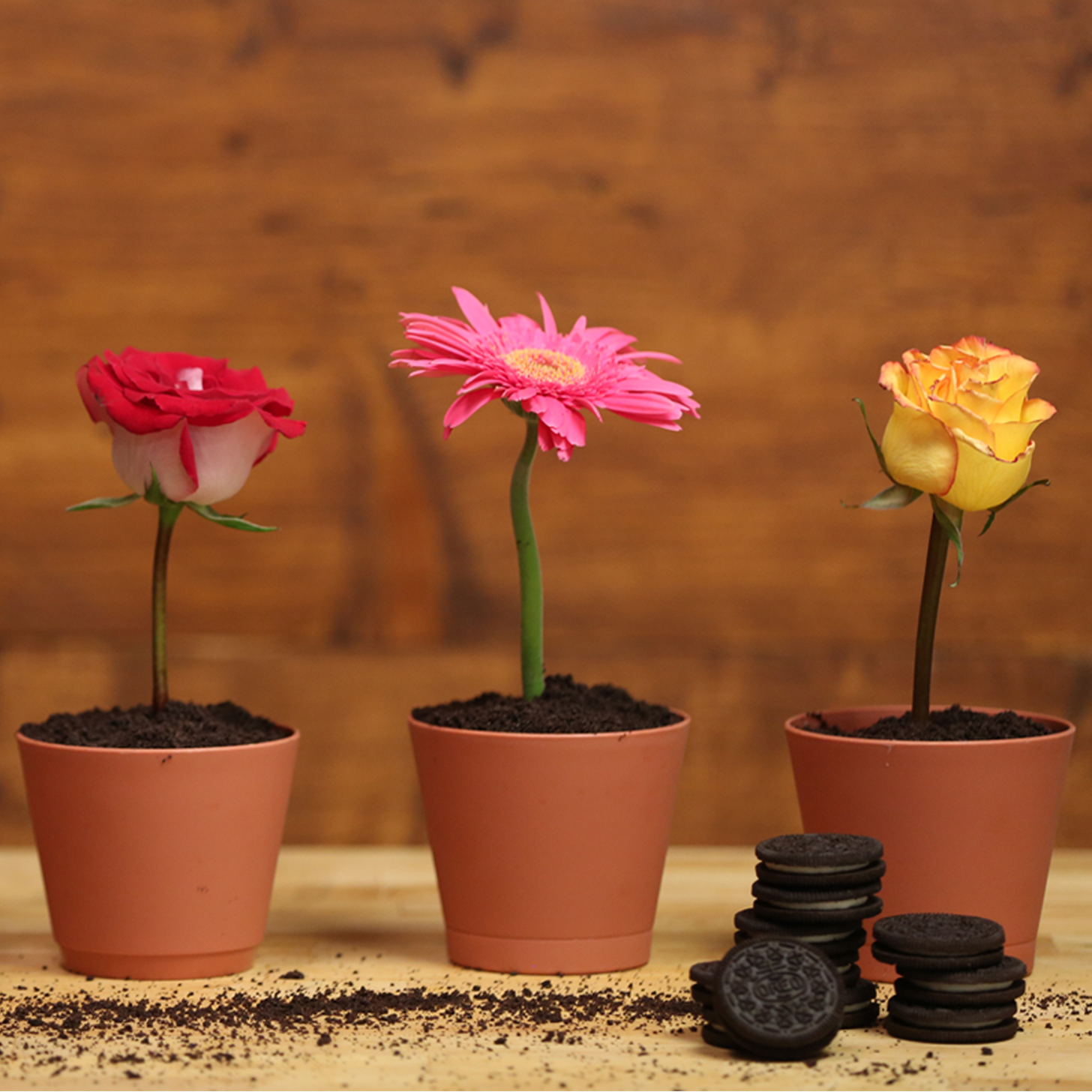 These Flowerpot Cakes Will Make Dinner-Party Guests Do a Double Take