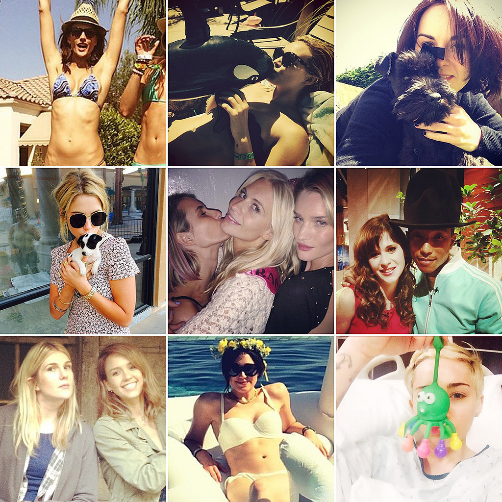 Kisses and Cute Pairs Highlight This Week's Best Celebrity Candids! Kisses and Cute Pairs Highlight This Week's Best Celebrity Candids!
