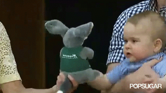 When Kate Handed Him a Stuffed Animal When Kate Handed Him a Stuffed Animal