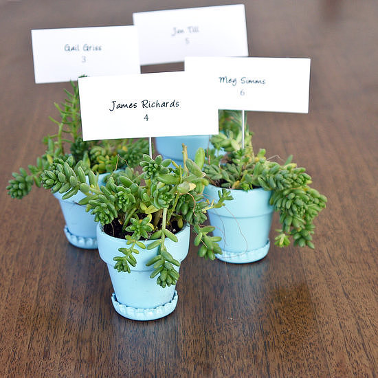 Bottle-Cap Planters Bottle-Cap Planters
