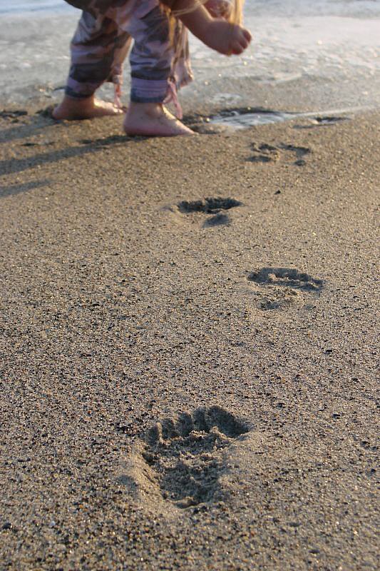 Footprints Footprints