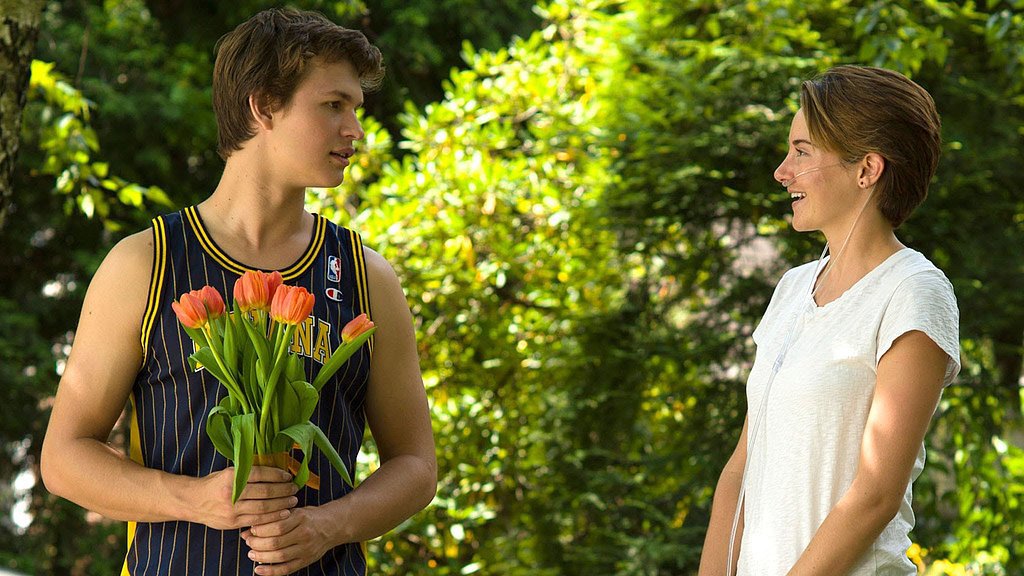 The Fault in Our Stars The Fault in Our Stars