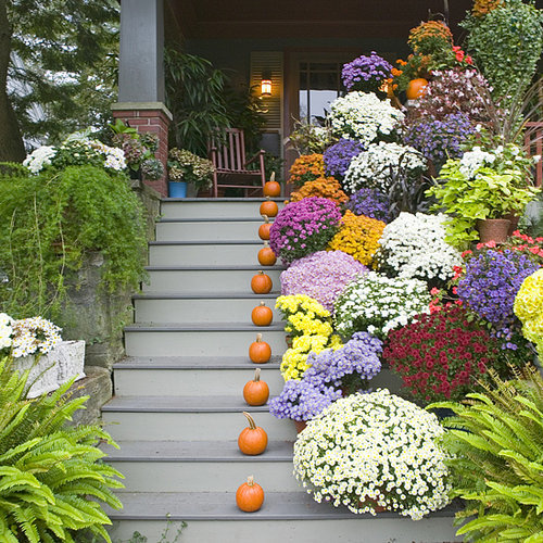 Portland Home