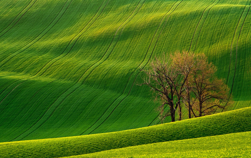 Rolling Hills, Czech Republic Rolling Hills, Czech Republic