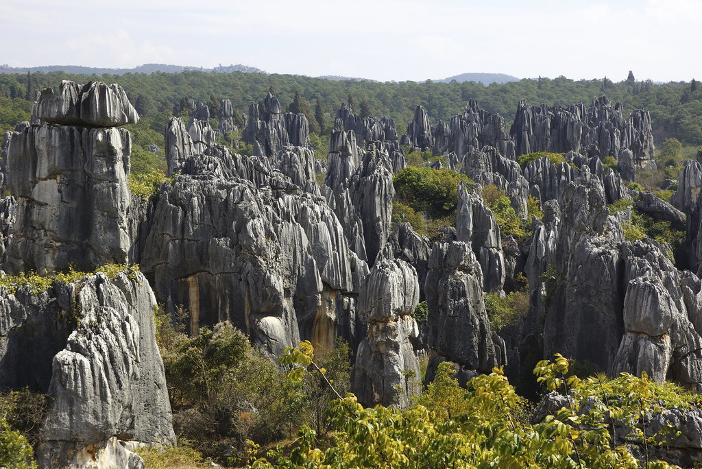 Stone Forest, China Stone Forest, China