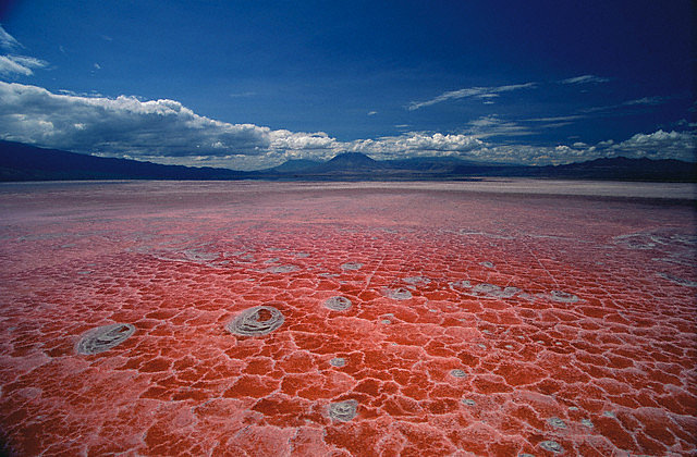 Lake Natron, Tanzania Lake Natron, Tanzania