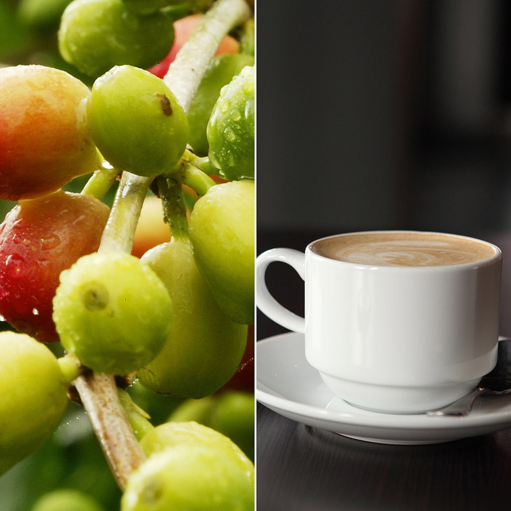From Bean to Cup: The Story of Coffee Production From Bean to Cup: The Story of Coffee Production