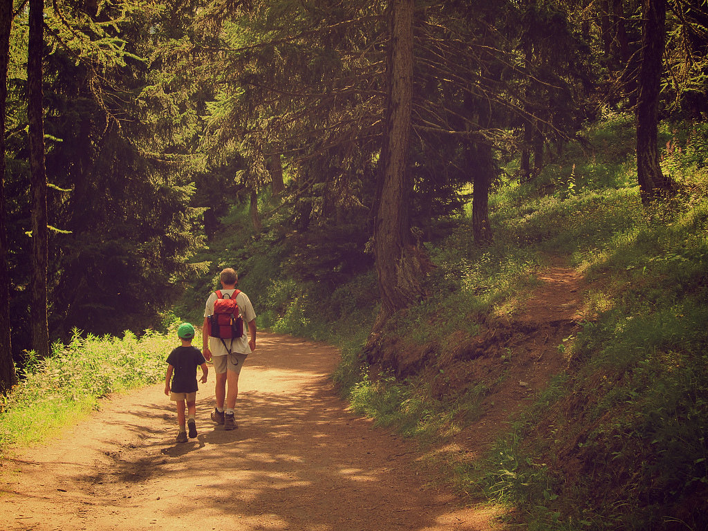 Go For a Hike Go For a Hike