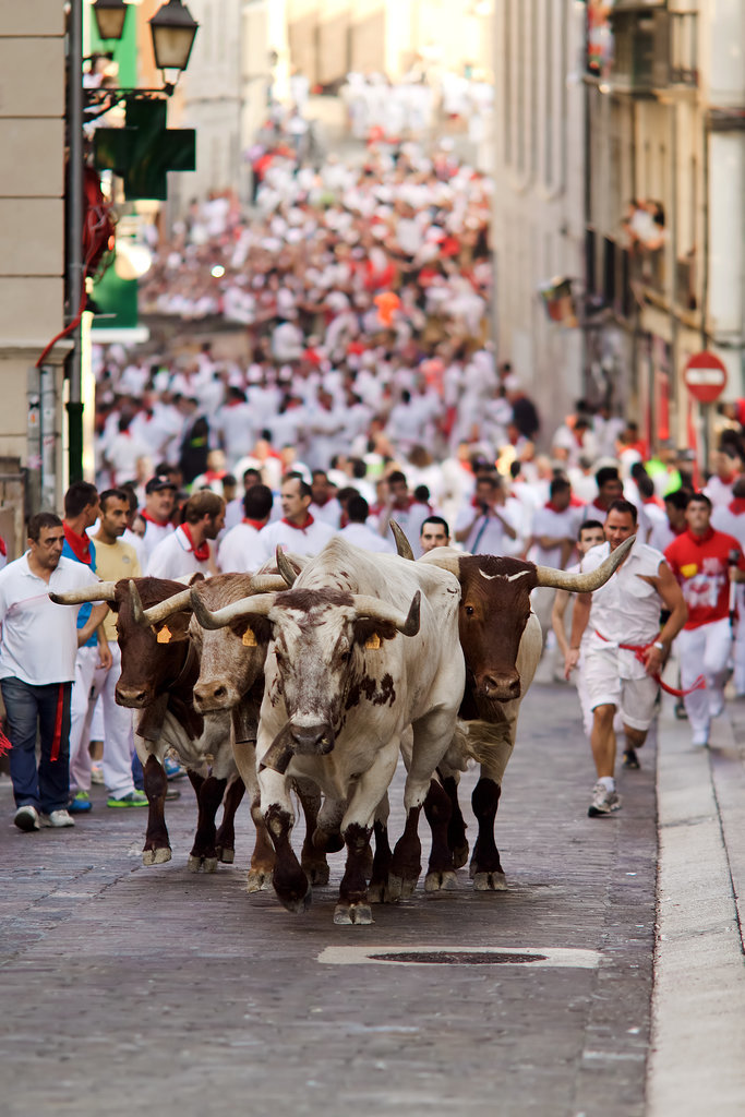 Run With the Bulls in Pamplona Run With the Bulls in Pamplona