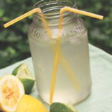 Lemon-Lime Sports Ade Lemon-Lime Sports Ade