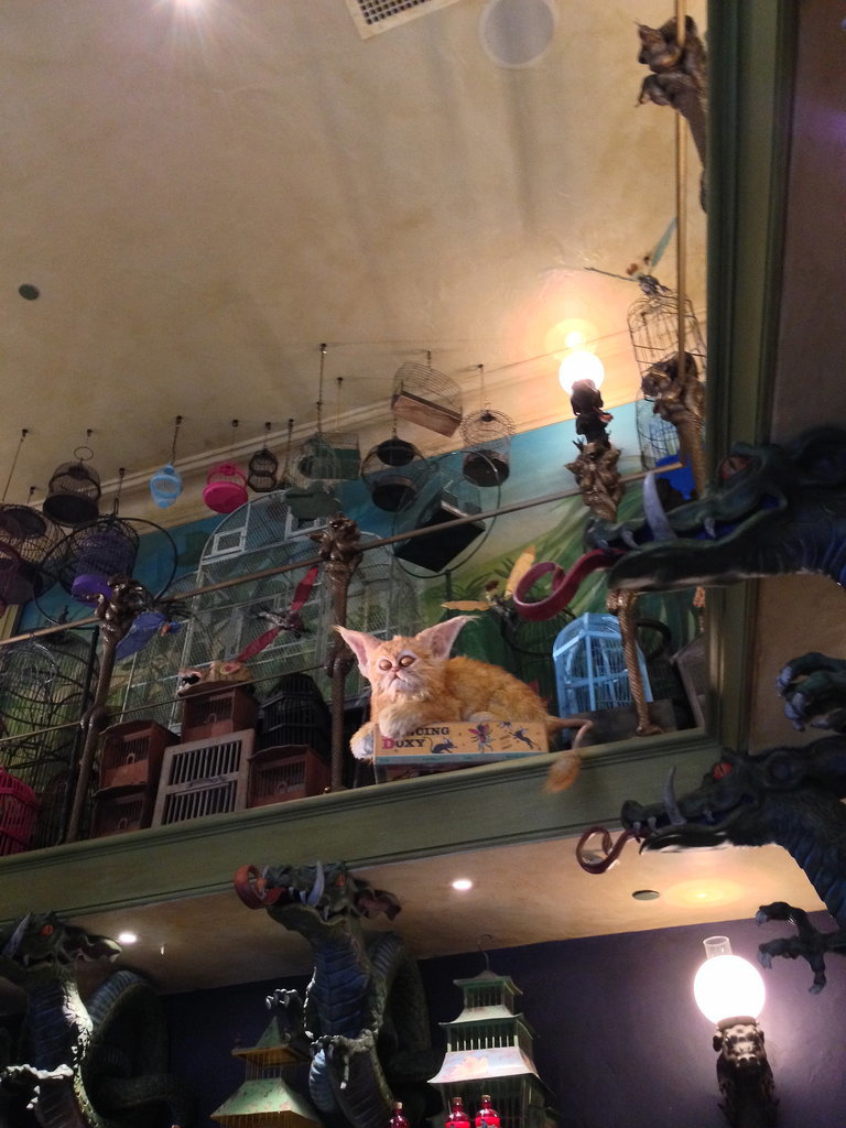 The animatronic animals in the Magical Menagerie could keep you entertained for a while. Pictured here is the Kneazle . . .
The animatronic animals in the Magical Menagerie could keep you entertained for a while. Pictured here is the Kneazle . . .