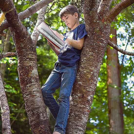 Books to Teach Kids Math Books to Teach Kids Math