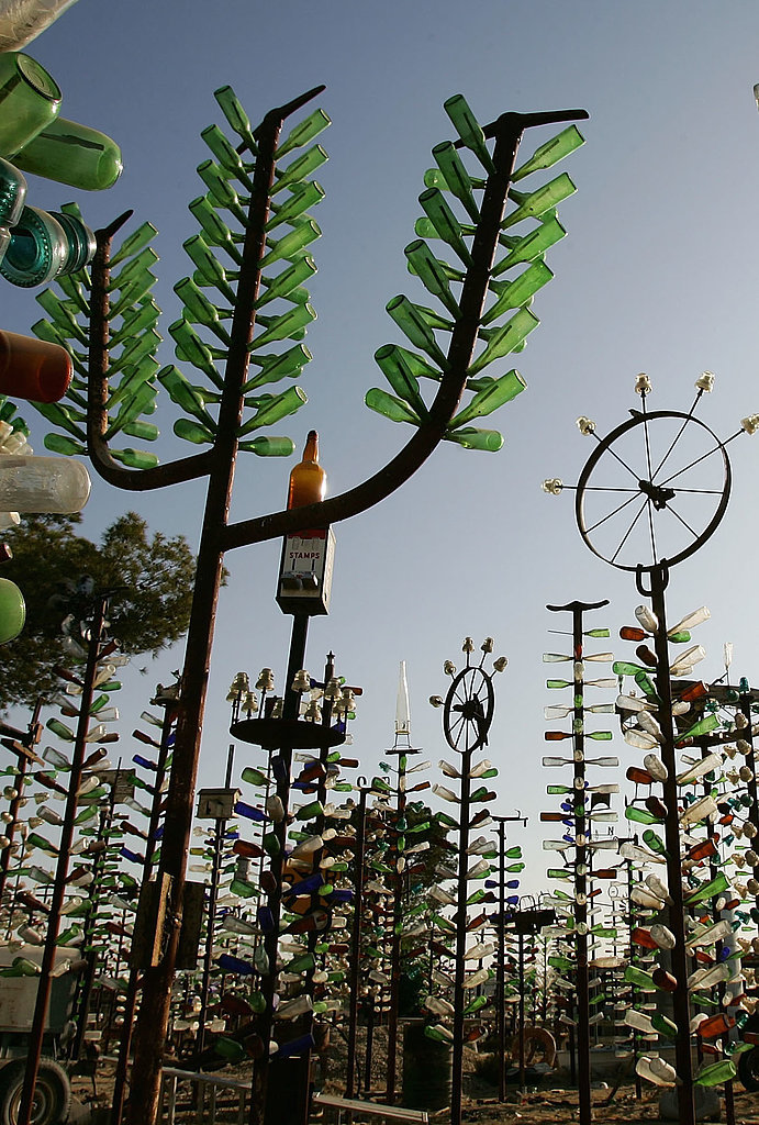 Bottle Tree Ranch Bottle Tree Ranch