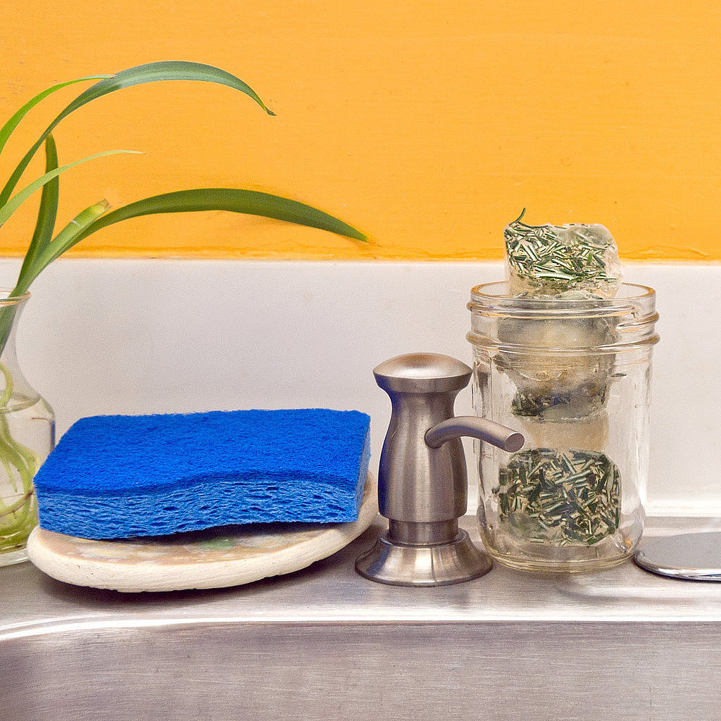 Rosemary Garbage Disposal Cleaner Rosemary Garbage Disposal Cleaner