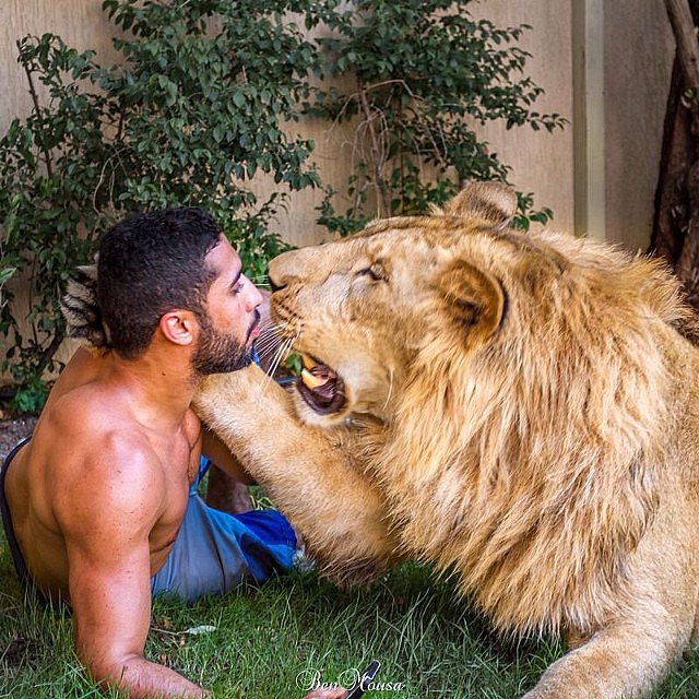 Rich Adults of Instagram Rich Adults of Instagram