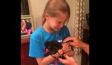 Birthday Girl Receives Fuzziest Gift Ever Birthday Girl Receives Fuzziest Gift Ever