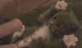 Daily GIFs: July 23, 2014 Daily GIFs: July 23, 2014