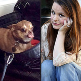Ginger vs. Jenna: The <em>Celebrity Wife Swap</em> Showdown Ginger vs. Jenna: The <em>Celebrity Wife Swap</em> Showdown