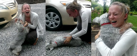 Dog Reunites With Her Owner After 2 Years and Has the Most Adorable Reaction Ever Dog Reunites With Her Owner After 2 Years and Has the Most Adorable Reaction Ever