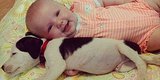 Baby, Pit Bull Puppy Are Cutest Best Friends You'll See Today Baby, Pit Bull Puppy Are Cutest Best Friends You'll See Today