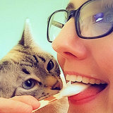 Let's Talk: Do You Let Your Cats Eat at the Dinner Table? Let's Talk: Do You Let Your Cats Eat at the Dinner Table?