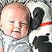 Pit Bull Puppy Cuddles Baby, Our Productivity Plummets Pit Bull Puppy Cuddles Baby, Our Productivity Plummets