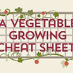 Vegetable Gardening Guide Vegetable Gardening Guide