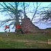 The Beatles - Penny Lane