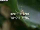 "Educational Video" from Canadian Wildlife Services about the Wood Spider.