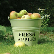 Apple Picking