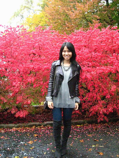 perfect fall look: over the knee boots & leather jacket