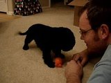 Daisy - 9 weeks