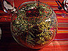 Kidoodle: Easy Thanksgiving Centerpiece and a Little Stroll